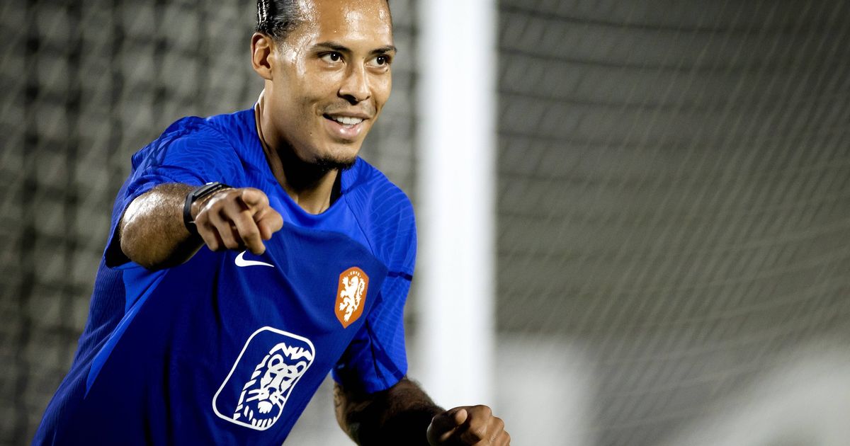 Virgil van Dijk Vom Tellerwäscher zum Millionär der WMStar der