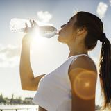 Wasser ist es nicht – 3 Getränke sind besser, um hydriert zu bleiben