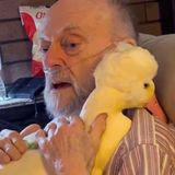 Ungewöhnliche Freundschaft: Opa Poppy (83) ist selbst krank – doch er kümmert sich liebevoll um Gans Getrude