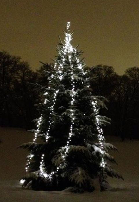 Am 23. Dezember 2013 stellte Madeleine einen Christbaum aus dem Hagapark ins Netz und wünschte allen frohe Feiertage.