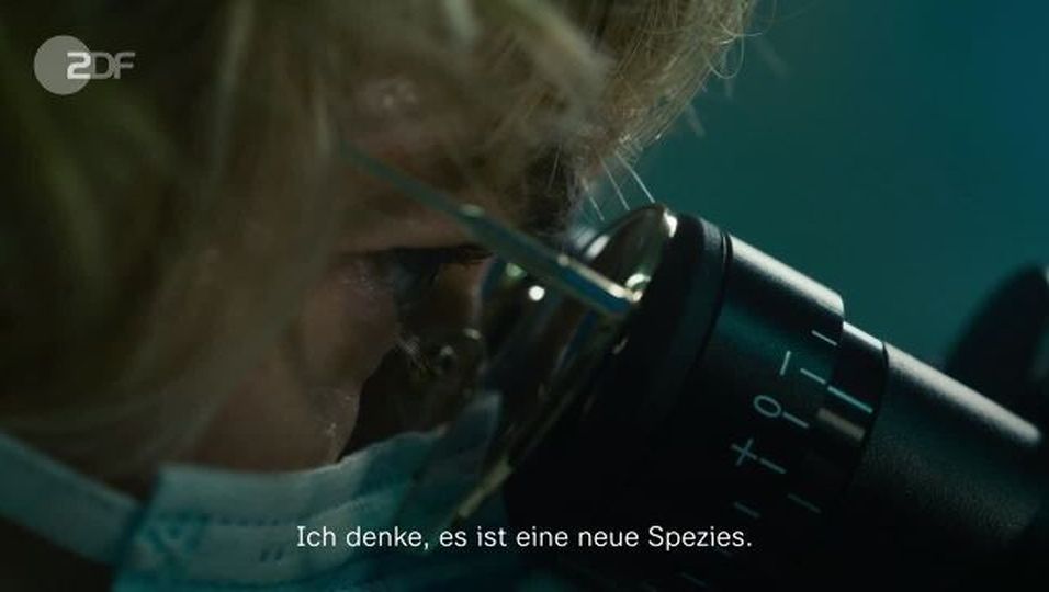 Mysterium Weltmeere: Trailer zu "Der Schwarm" mit Klaas Heufer-Umlauf