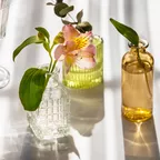 Asam Beauty: Das ist schon jetzt der Duft des Jahres 2025  