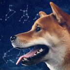 Dein Sternzeichen verrät: Diese Hunderasse passt zu dir