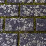 So entfernst du Grünbelag mühelos