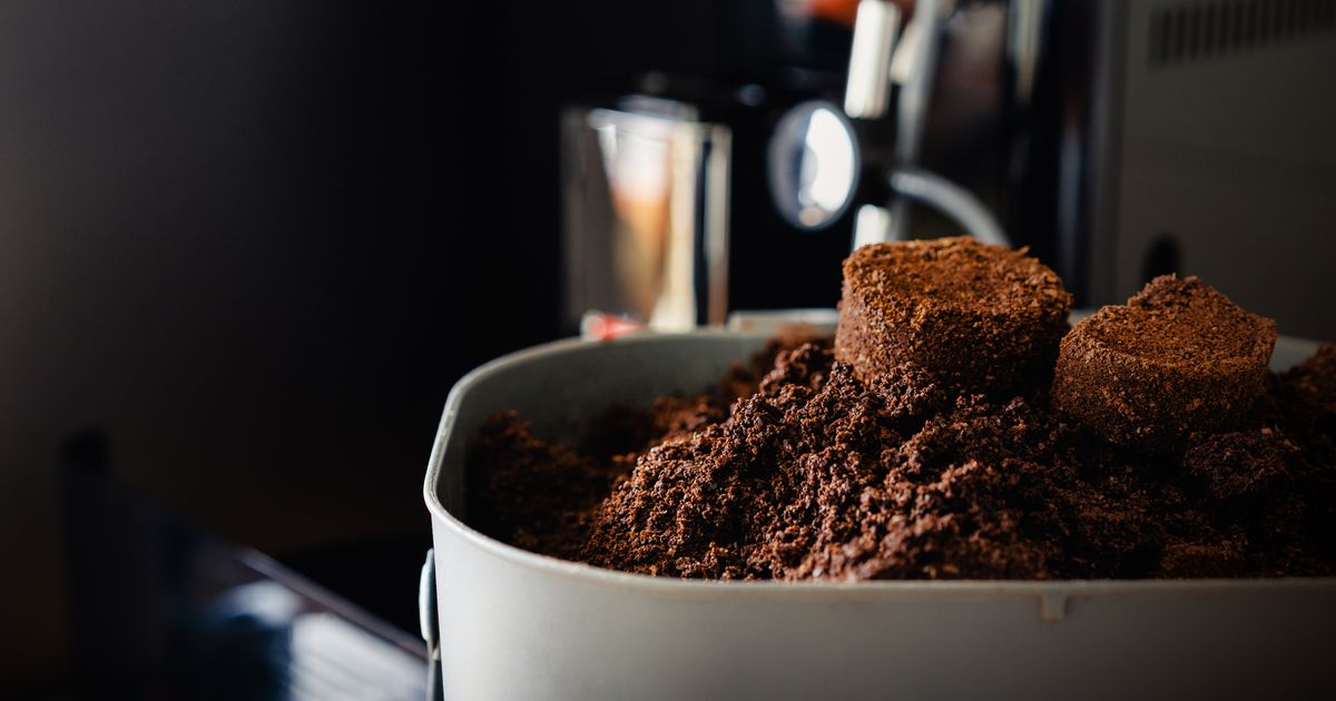 Nicht als Dünger 10 Pflanzen mögen Kaffeesatz überhaupt nicht