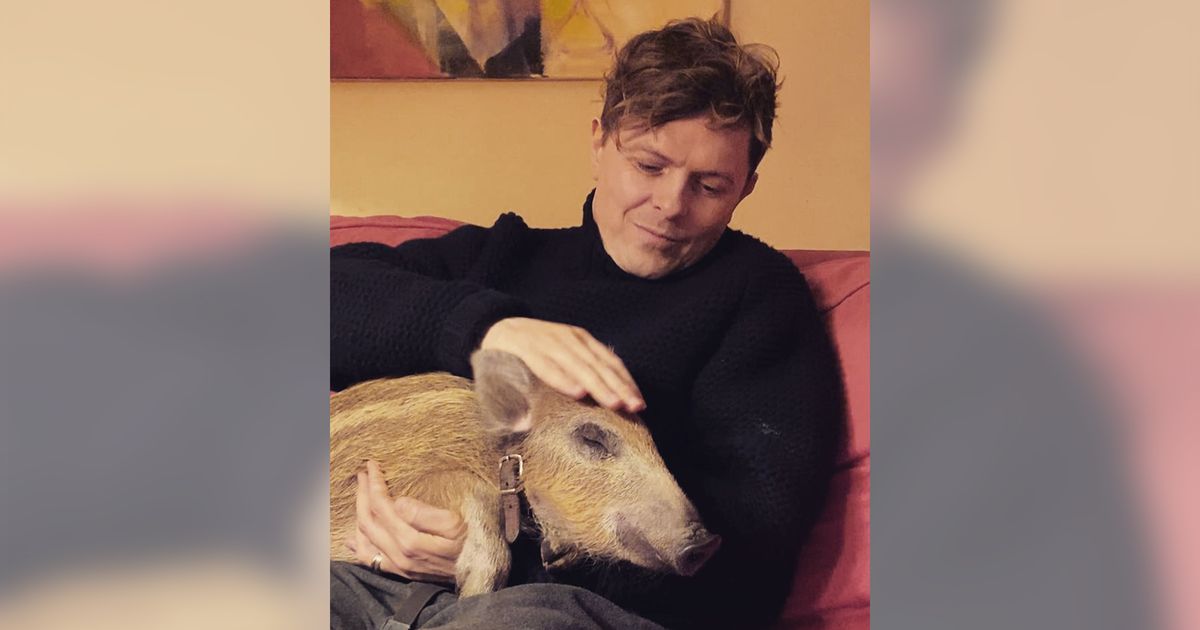 Schlager-News: Ungewöhnlich: Michael Patrick Kelly kuschelt mit Ferkel