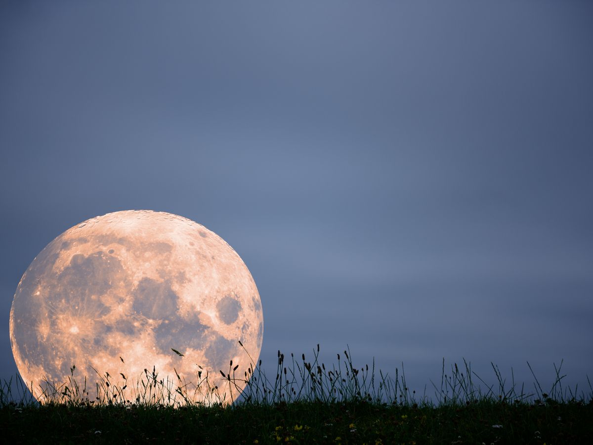 Strawberry Moon Diese Wirkung Hat Der Vollmond Heute Auf Dein Sternzeichen Bunte De