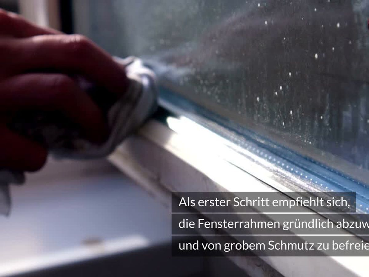 Fenster schnell und einfach blitzblank putzen