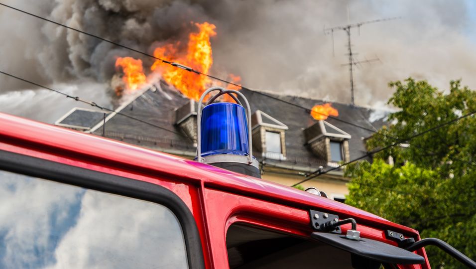 Feuerwehr rettet verzweifeltes Waschbären-Pärchen aus Flammen-Hölle