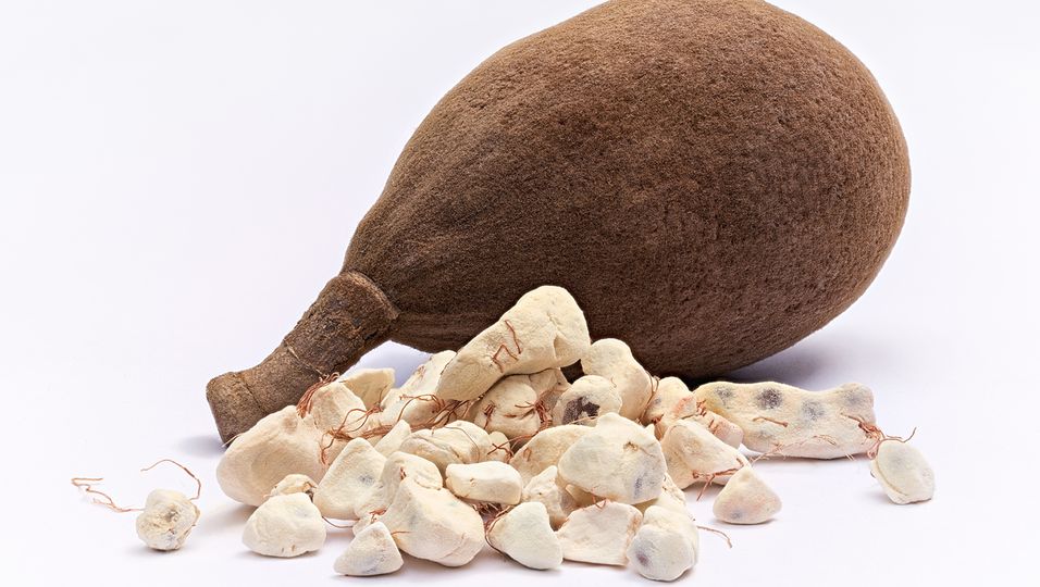Baobab-Frucht Superfood Abnehmen