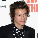 Harry Styles - Bei den MTV EMAs 2013 als Style King geehrt