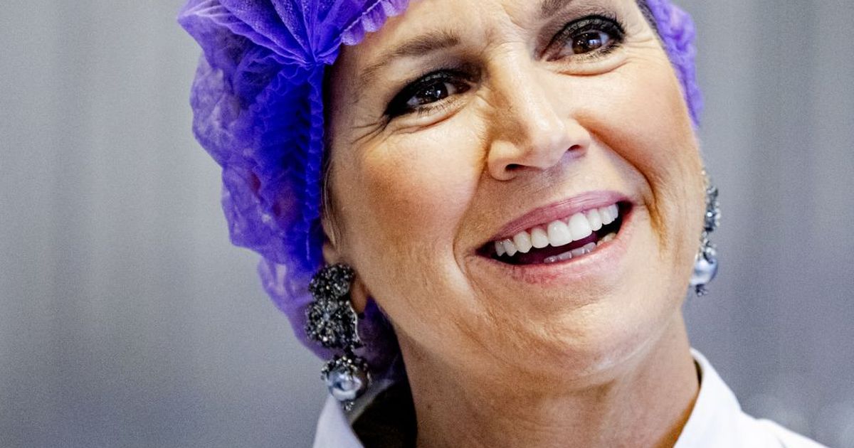 Máxima der Niederlande Hier tauscht sie die royale Robe gegen Haarnetz und Kittel