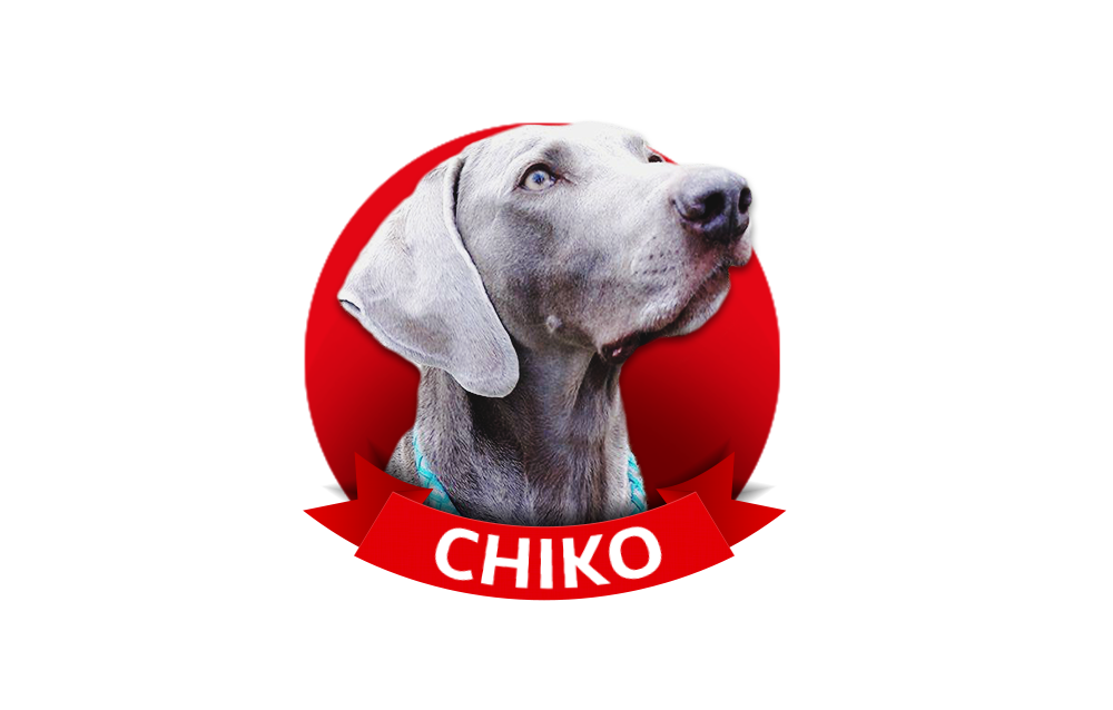 chiko.png