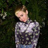 Miley Cyrus | Bei Familienfest der Schwarzeneggers unerwünscht