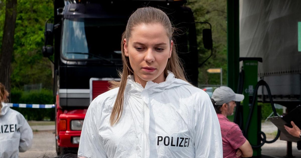 Blutige Anfänger Erster Trailer zeigt Cheyenne Pahde in neuer Rolle