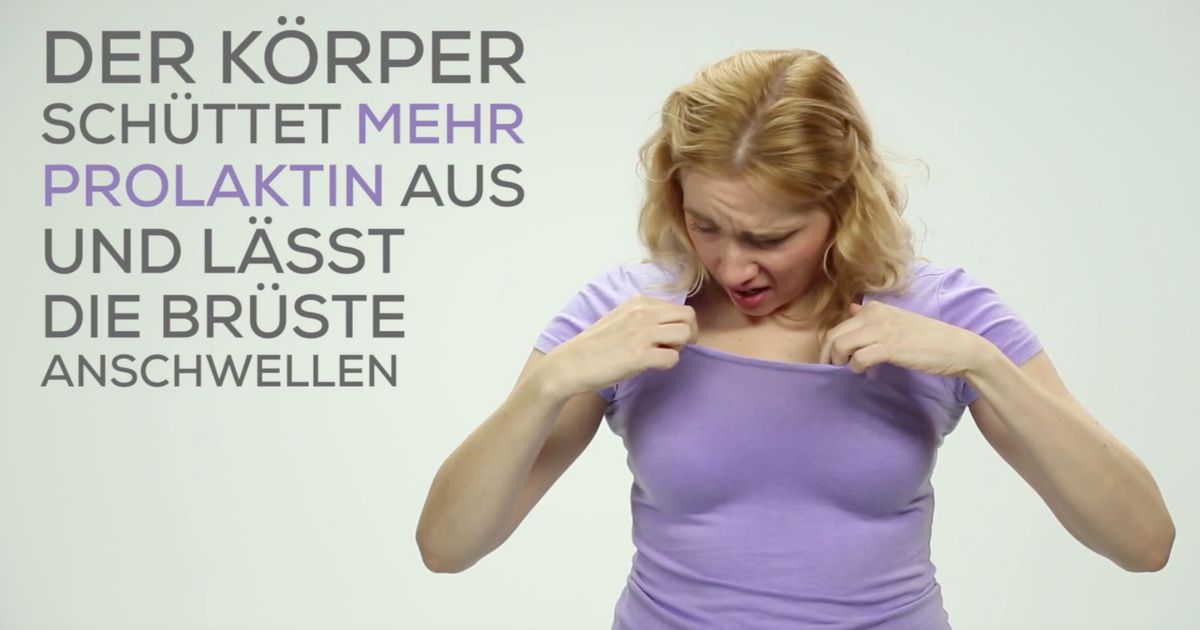 Auf Die Leichte Schulter Nehmen www.bunte.de