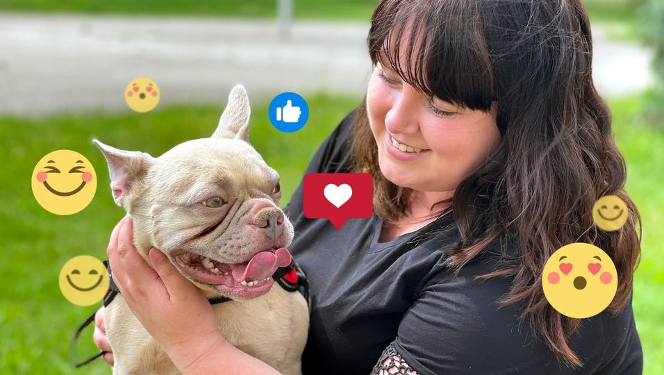 Krebskranker Hund findet über Instagram ein neues liebevolles Zuhause