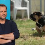 "Wer will so einen Hund?" Geschockter Martin Rütter bangt mit fast hoffnungslosem Fall