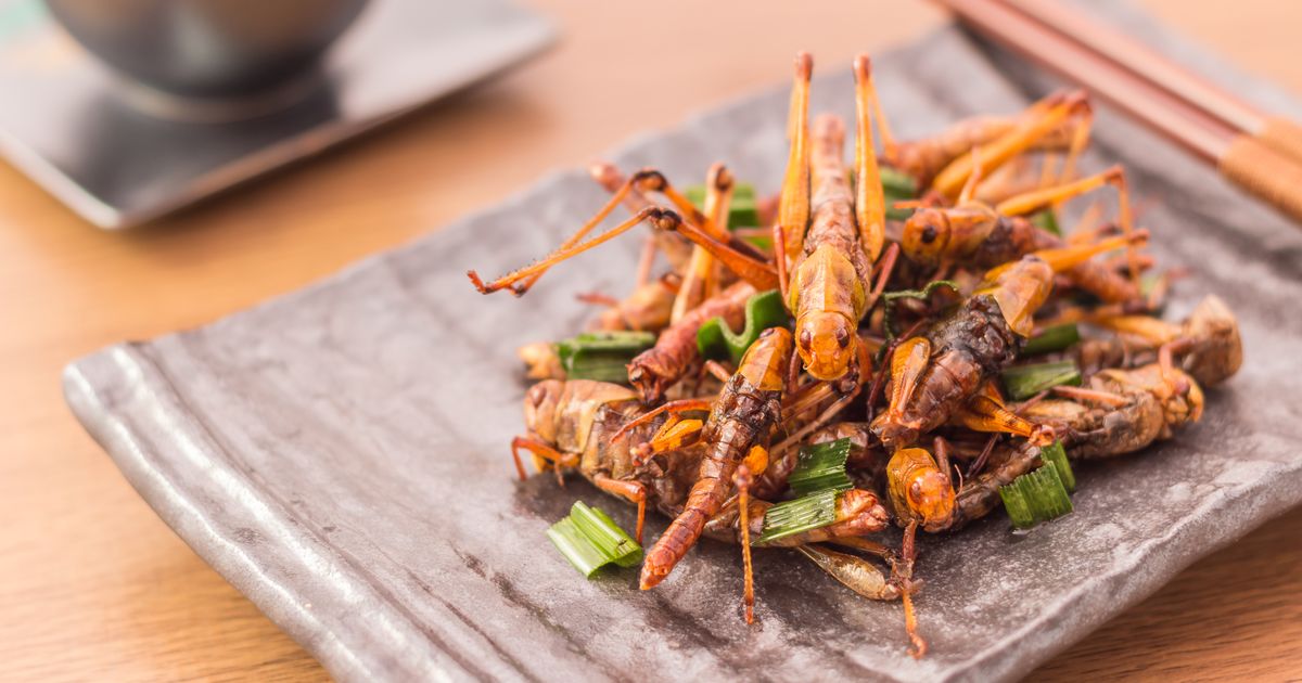 Alternative zu Fleisch Insekten als proteinreicher Snack BUNTE.de
