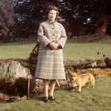 Prinz William - Die Corgis der Queen „werden schrecklich verwöhnt“ 