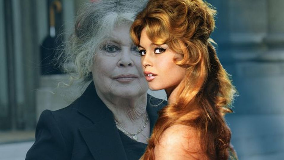 Brigitte Bardot Kaum wiederzuerkennen so sehr hat sie sich verändert BUNTE.de