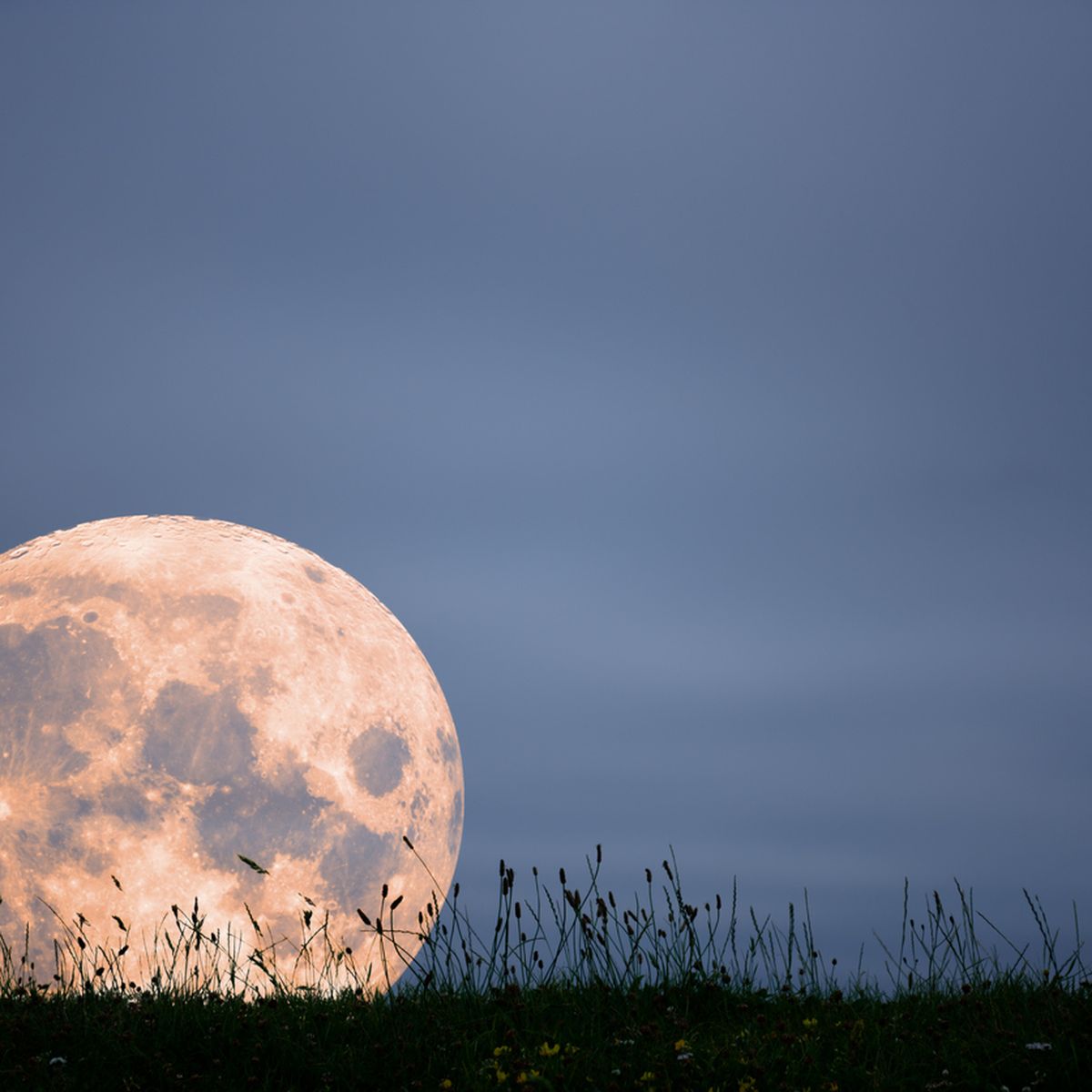 Strawberry Moon Diese Wirkung Hat Der Vollmond Heute Auf Dein Sternzeichen Bunte De