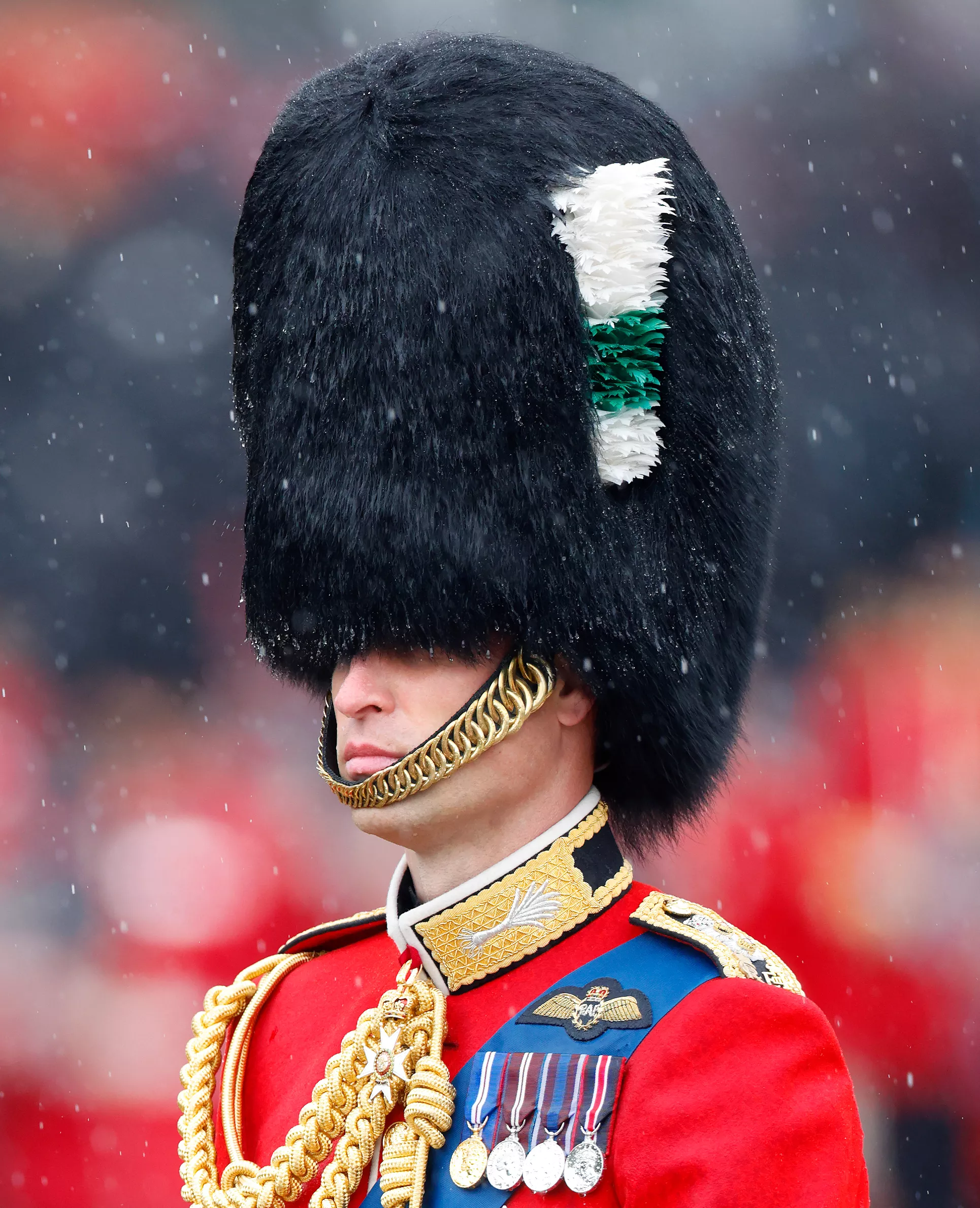 Im vergangenen Jahr zeigte sich William noch glattrasiert bei Trooping the Colour.