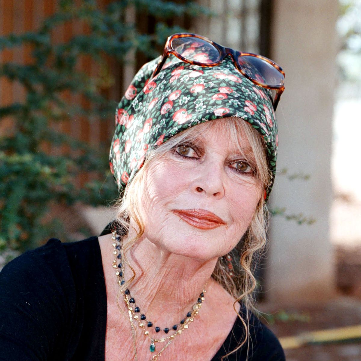 Brigitte Bardot wird 90: "Ich habe die Nase voll von diesem Geburtstag!" |  BUNTE.de