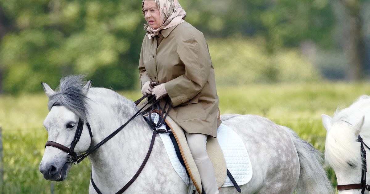 Queen Elizabeth: Dem Rat ihrer Ärzte zum Trotz: Sie reitet wieder