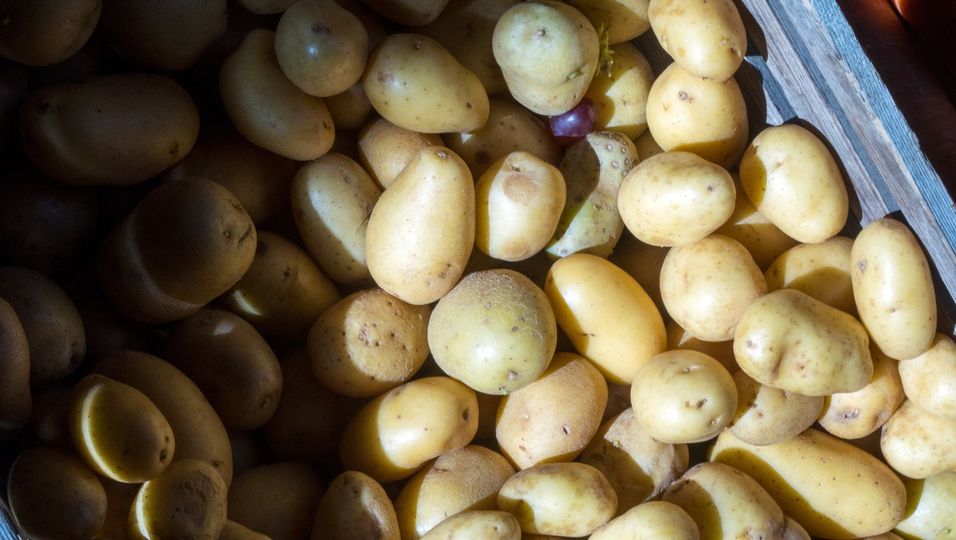 Mehlkochende Kartoffeln sorgen dafür, dass eine Gemüsesuppe cremig schmeckt.