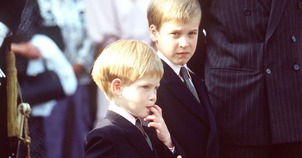 Prince William & Prince Harry: These were their favorite foods as children |  BUNTE.de thumbnail
