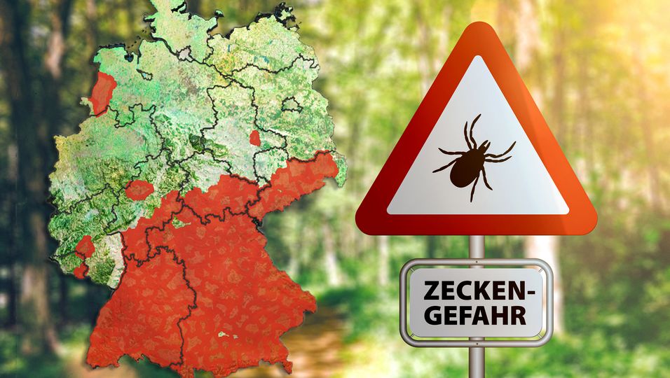 Zecken-Alarm: Neue Risikogebiete in Deutschland