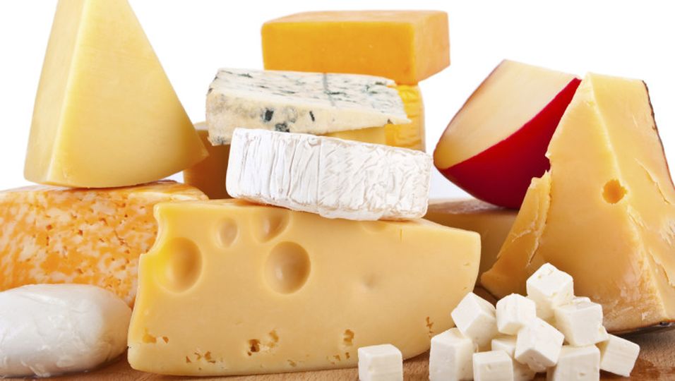 Cheese 2013 - Bedrohte Käse-Arten retten