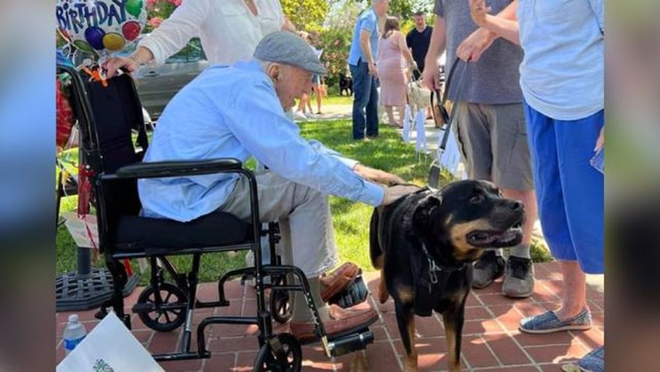 Man just wanted to pet dogs for his 100th birthday - more than 200 four-legged friends came 