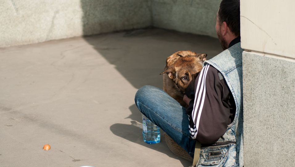 Herzerwärmendes Wiedersehen : Obdachloser findet Hund nach wochenlanger Suche