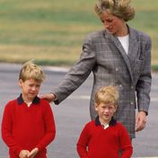 Prinz Harry & Prinz William - Video der Brüder geht viral: "Wir wurden von Dianas Liebe erdrückt"