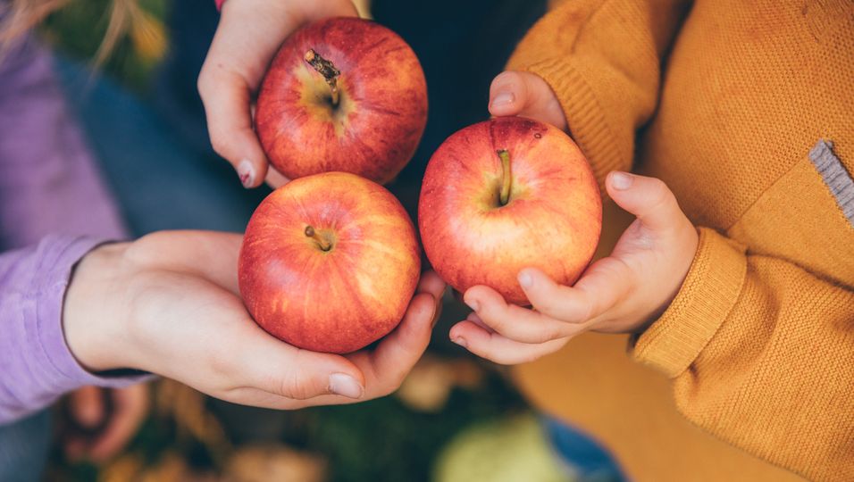 Apfeldiät, Apfel gesund, Apfel abnehmen
