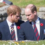 Prinz Harry & Prinz William: Ein Royal soll nun zur Friedens-Stifterin werden  