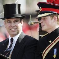 Prinz Harry & Prinz Andrew: Sie verbindet mehr, als man denkt 