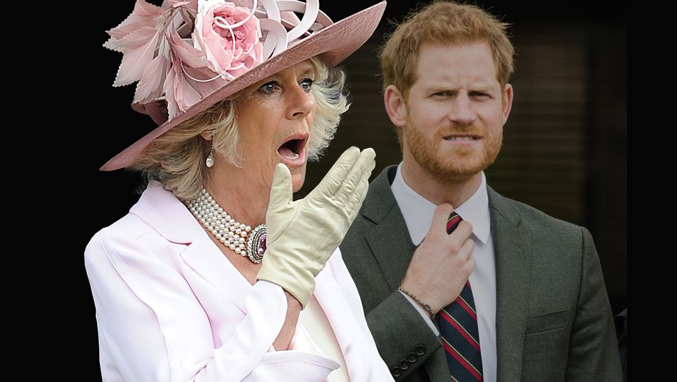 Königin Camilla - Bei Harrys Versöhnungsvorschlag spuckt sie vor Überraschung ihren Tee aus