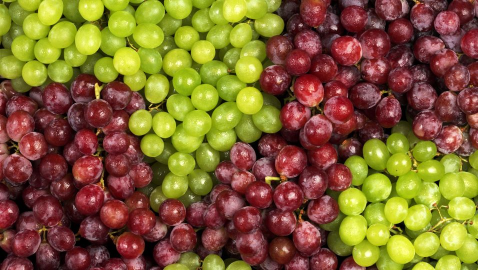 Grüne und rote Weintrauben 