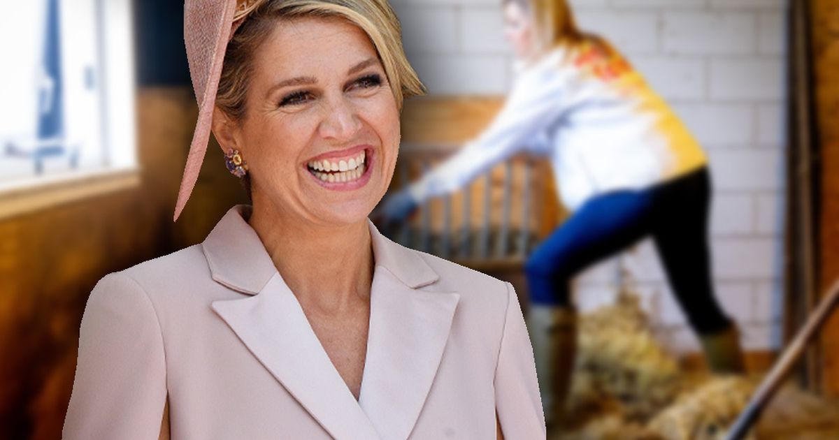 Nederlandse Maxima: De koningin helpt de boerderij met een hooivork