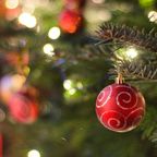 kauftipps-fur-einen-weihnachtsbaum158622960x644.jpg