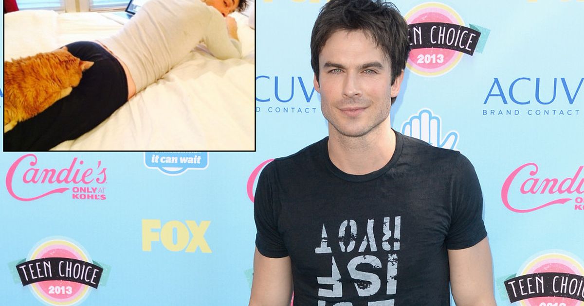 Ian Somerhalder Kater Moke auf Kuschelkurs BUNTE.de