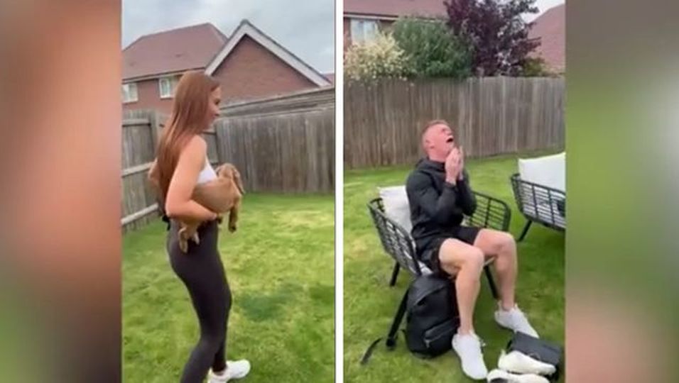 Süßer Moment: Frau bringt ihren Freund mit Hunde-Welpen zum Weinen