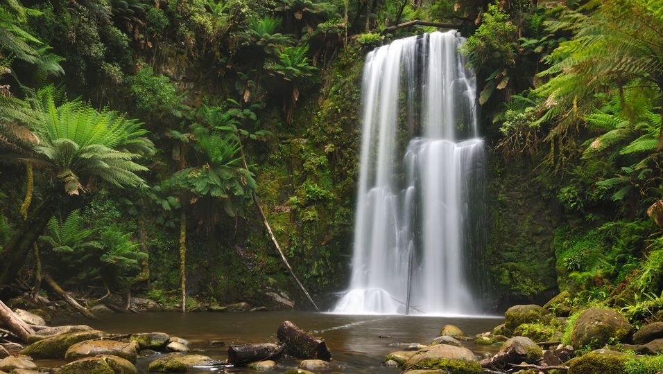 In Australien - Sturz von Wasserfall endet für junge Frau (19) tödlich