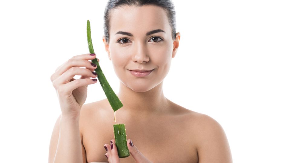 Stoffwechsel ankurbeln: So kann dir Aloe Vera-Saft beim Abnehmen helfen