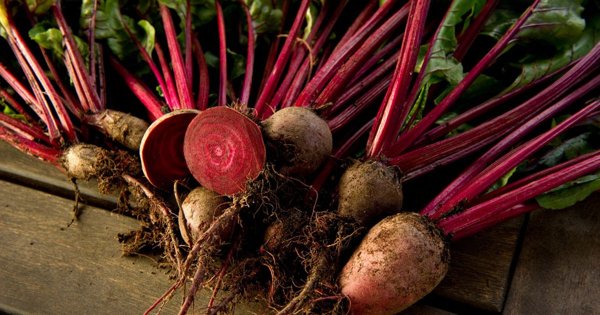 Rote Bete: Rezepte mit der roten Rübe | BUNTE.de