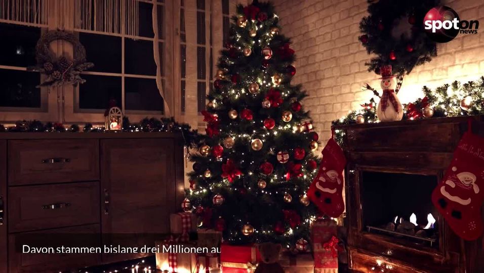 Knapp und teuer: Großbritannien gehen die Weihnachtsbäume aus