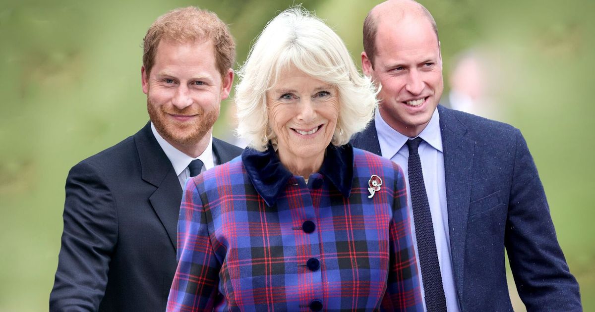 Prinz Harry, Prinz William & Co.: Diese Berufe haben die Royals gelernt